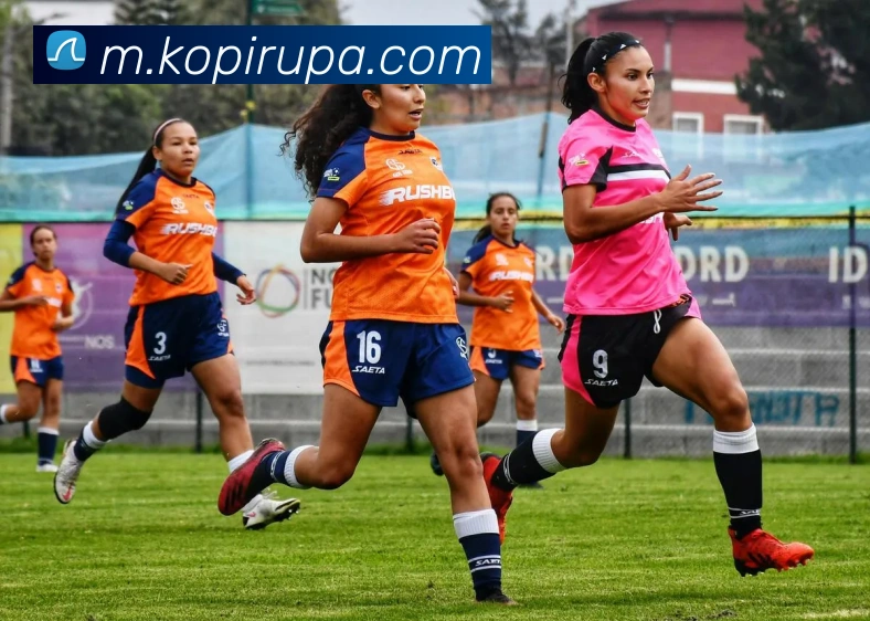 pa真人视讯平台生态图